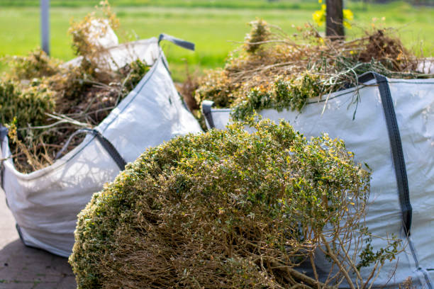 Professional Junk Removal in Suwanee, GA
